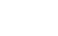 BSI